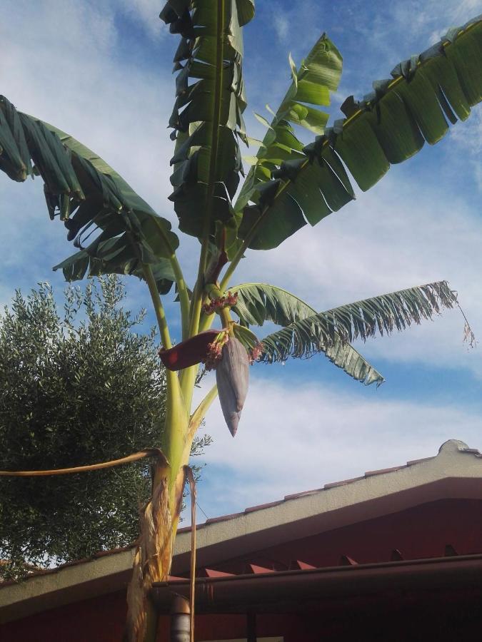 Villaggio Romaniello Marina di Camerota Esterno foto